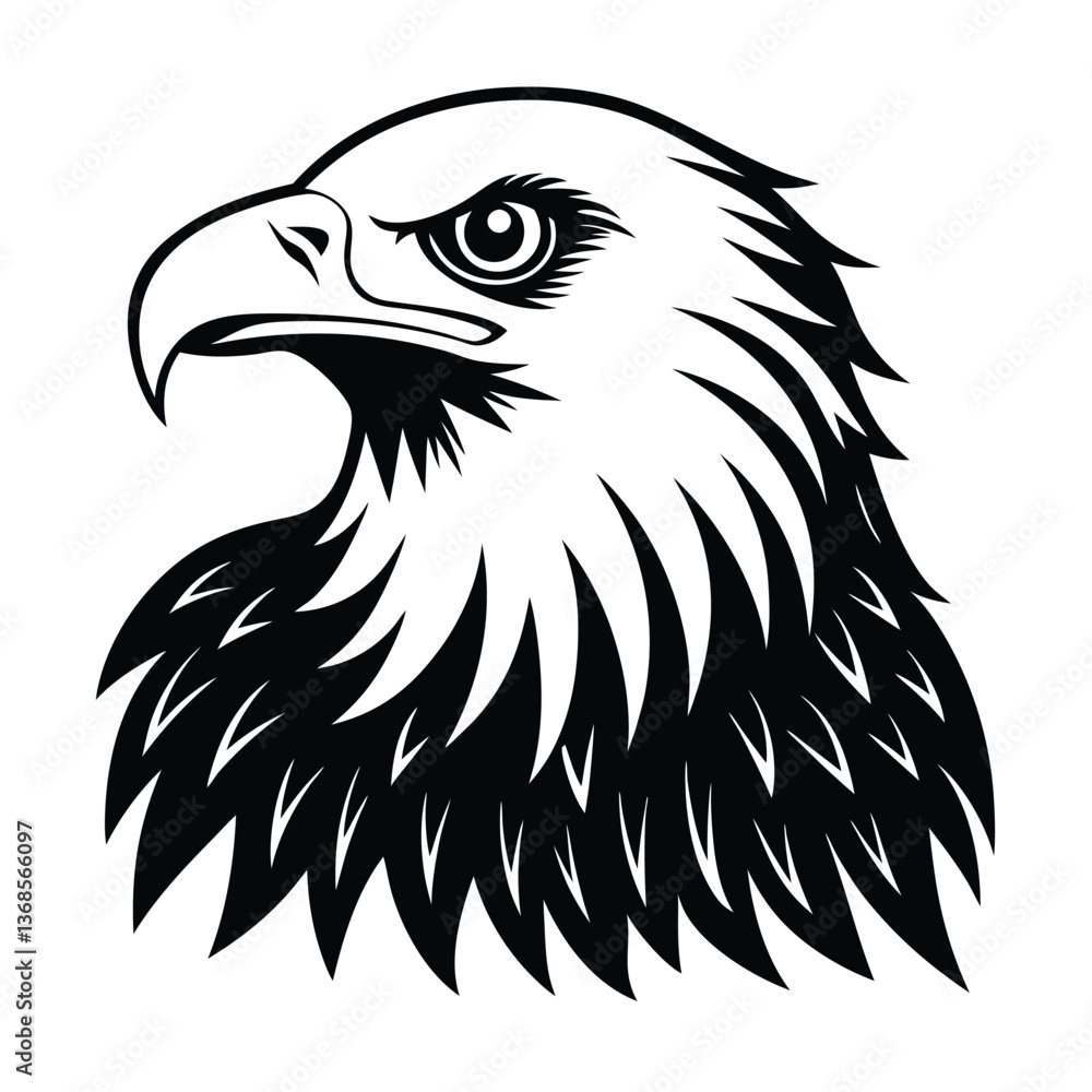 Fototapeta premium falcon vector illustration