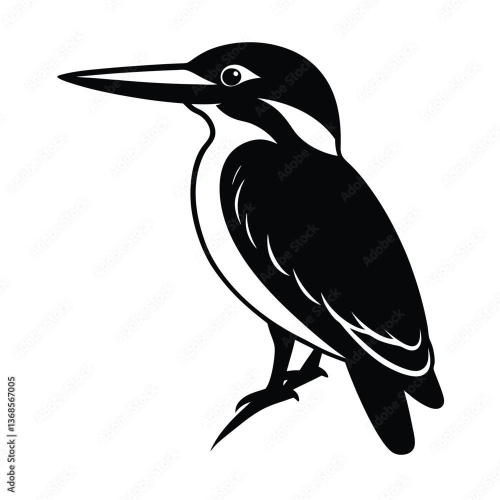 Obraz premium kingfisher vector illustration