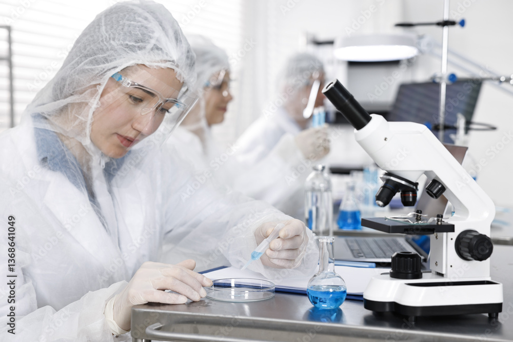 Fototapeta premium Scientist dripping sample into Petri dish at table in laboratory