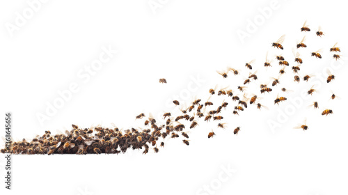 Swarming Bees Departing Hive to Establish New Colon on transparent background
