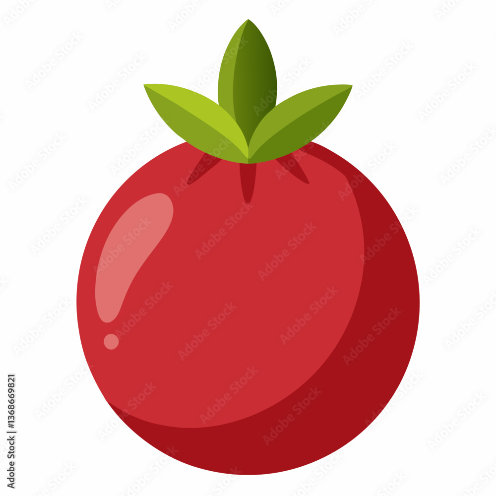 Minimalist Pomegranate Vector Illustration on White Background Minimalist Pomegranate Vector Illustration on White Background