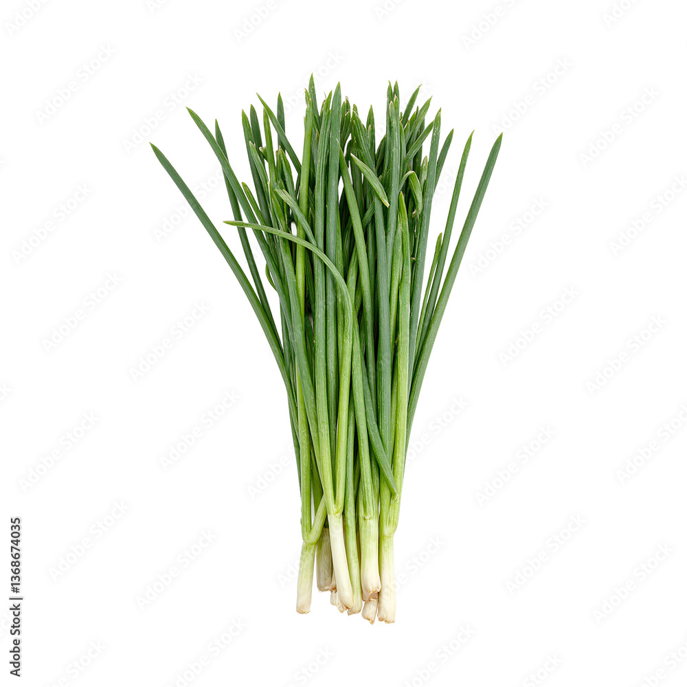 Fresh green chives slender and delicate isolated on white Perfect for food health or wellness concepts Fresh green chives slender and delicate isolated on white Perfect for food health or wellness concepts