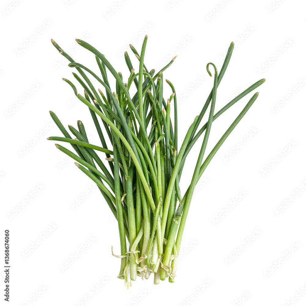 Fresh green chives slender and delicate isolated on white Perfect for food health or wellness concepts Fresh green chives slender and delicate isolated on white Perfect for food health or wellness concepts