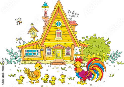 Funny chicken family of a cute hen, a colorful rooster and a merry brood of yellow small chicks walking in a yard of a wooden village house on a warm summer day, vector cartoon illustration on white