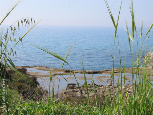 A beautiful view of rocks, green grass, and the Mediterranean Sea in the Tel Dor Nature Reserve in northern Israel.