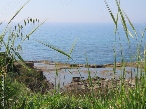 A beautiful view of rocks, green grass, and the Mediterranean Sea in the Tel Dor Nature Reserve in northern Israel.