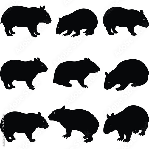 set of wombats, collection of silhouettes of black vector