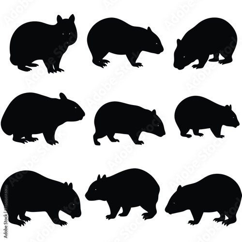 set of wombats, collection of silhouettes of black vector