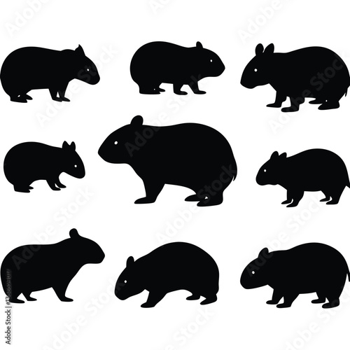 set of wombats, collection of silhouettes of black vector