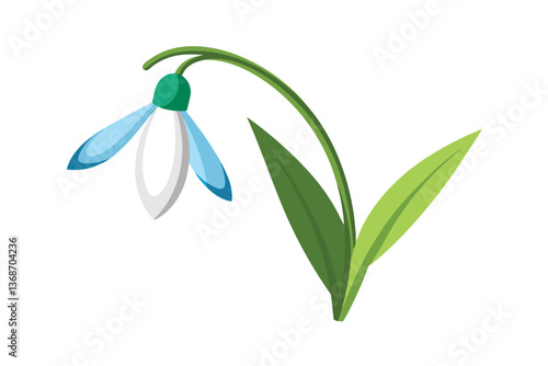 snowdrops isolated on white background