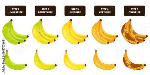 Fotografija Bunch of bananas, one banana in different ripeness stages