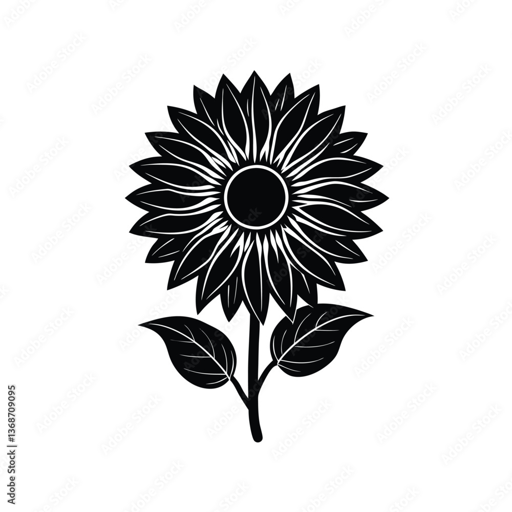 sunflower vector illustration sunflower vector illustration