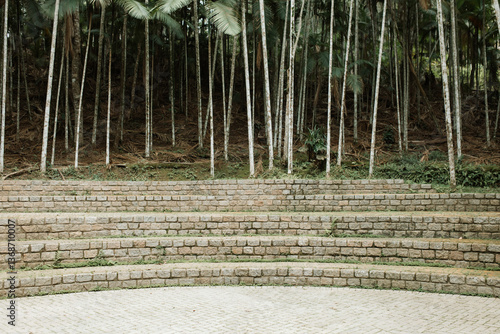 Tree climbing, landscape with stone floors and tall trees