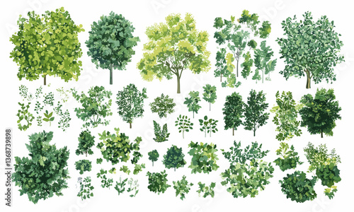 Assorted tree and shrub varieties set against white background, vector