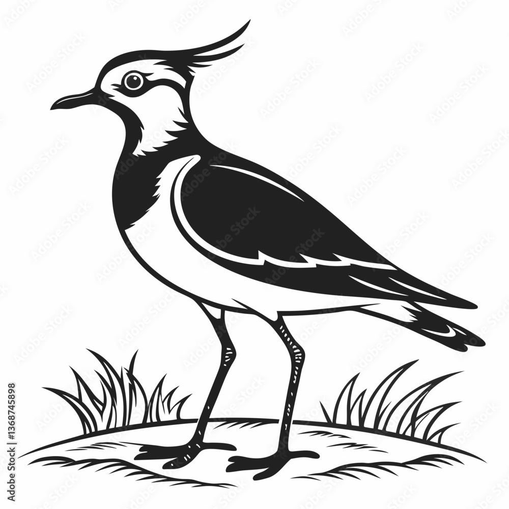 Fototapeta premium Lapwing silhouette icon vector
