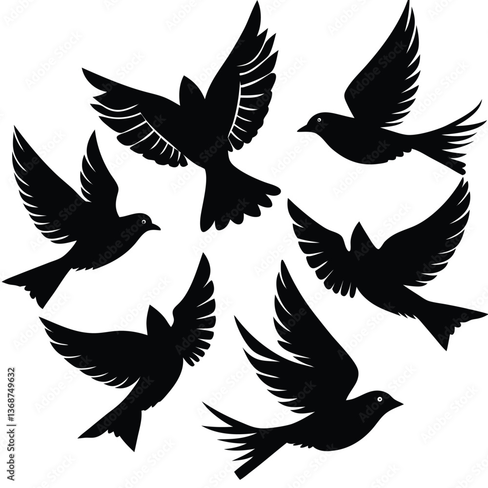Obraz premium Flying Popular birds silhouette isolated on white background.