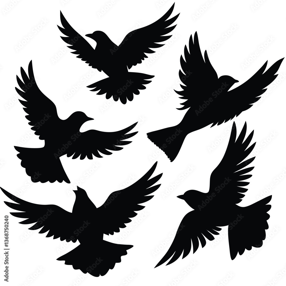 Fototapeta premium Flying Popular birds silhouette isolated on white background.