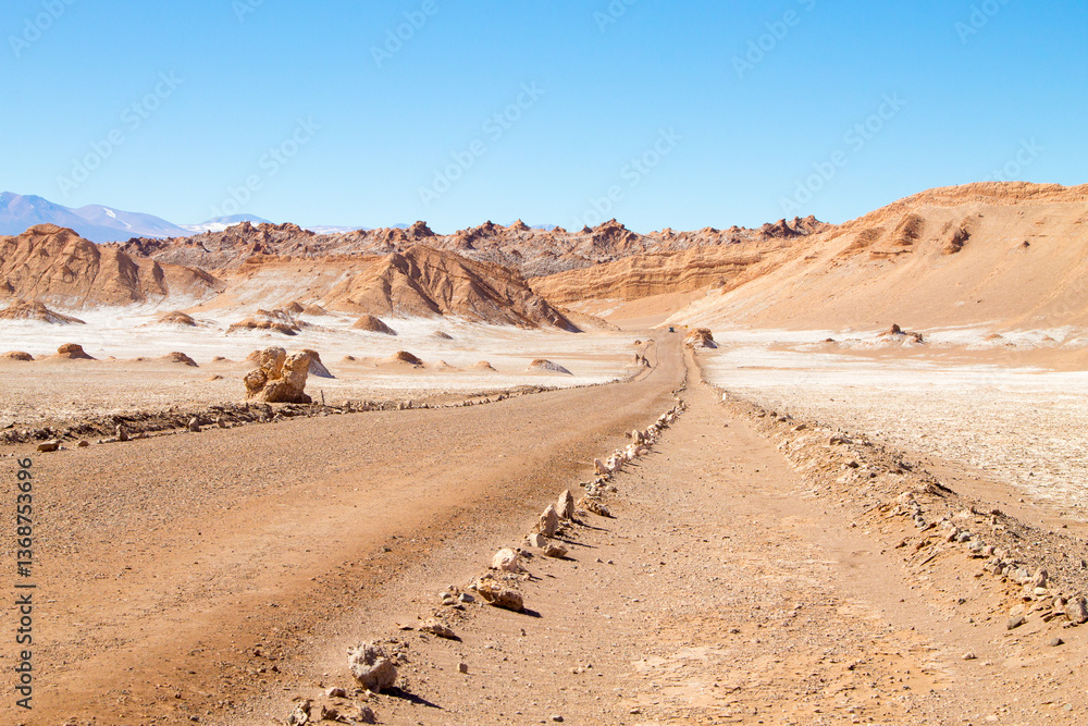 Dirt road perspective view,Chile
