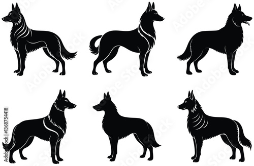 Silhouette Set of Belgian Shepherd Dogs, Standing Positions, Elegant Black Shape