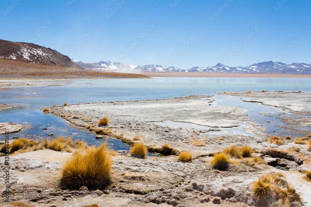 Bolivian lagoon landscape,Bolivia