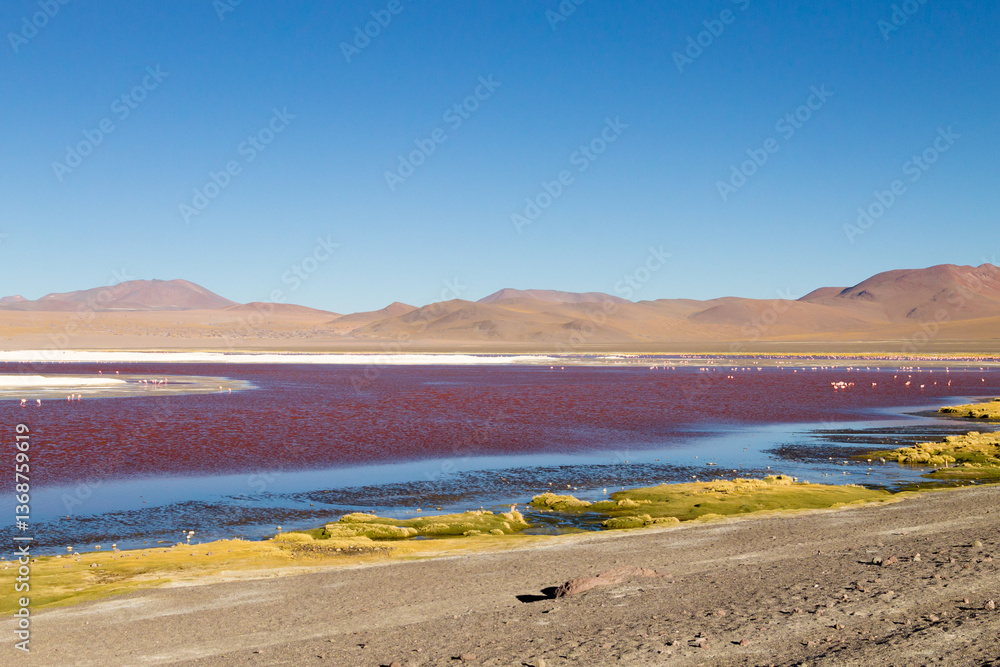 Laguna Colorada view, Bolivia