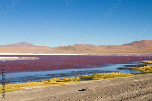 Obraz na płótnie Laguna Colorada view, Bolivia w salonie