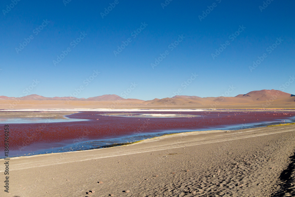Laguna Colorada view, Bolivia