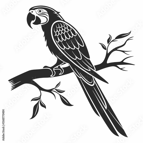 macaw black silhouette icon vector 