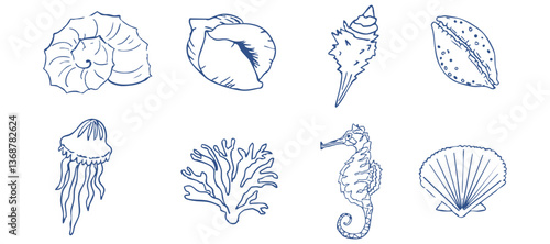 Sea shell sketch ocean life hand drawn illustration. Outline modern style, summer, vacation, beach design elements. Coral and seaweed, starfish line. 