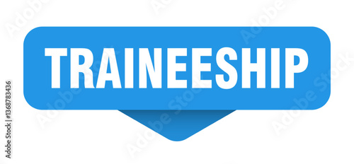 traineeship sticker. traineeship sign on transparent background