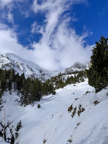 snow covered mountains