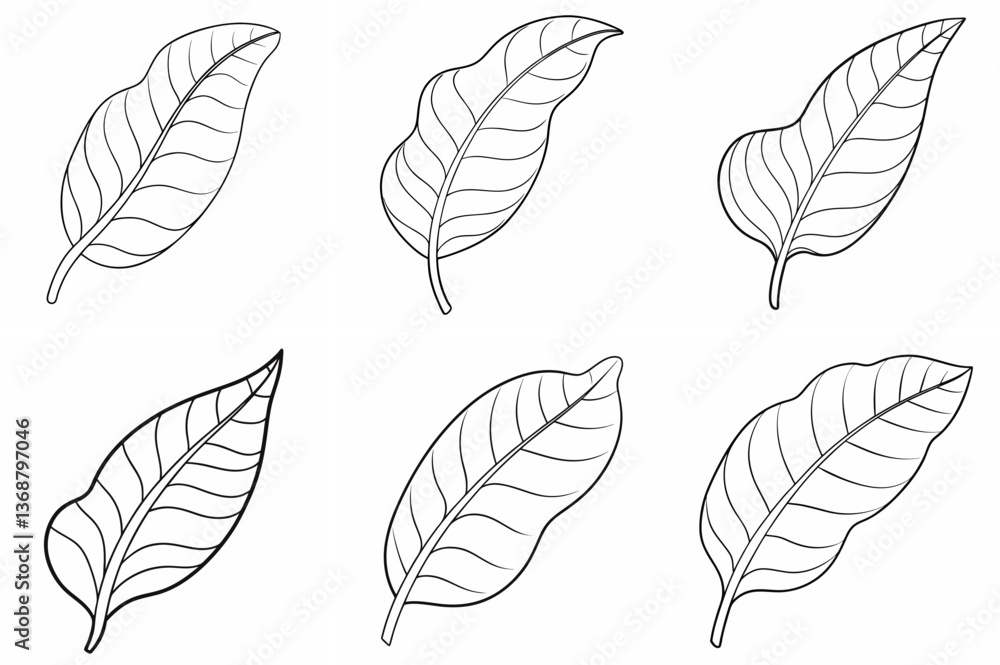 Fototapeta premium Banana Leaf Outline Coloring Page Line Art Drawing