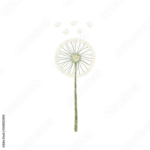 Wallpaper Mural Minimalist dandelion puff with delicate white details on a green stem set against a clean white background Torontodigital.ca