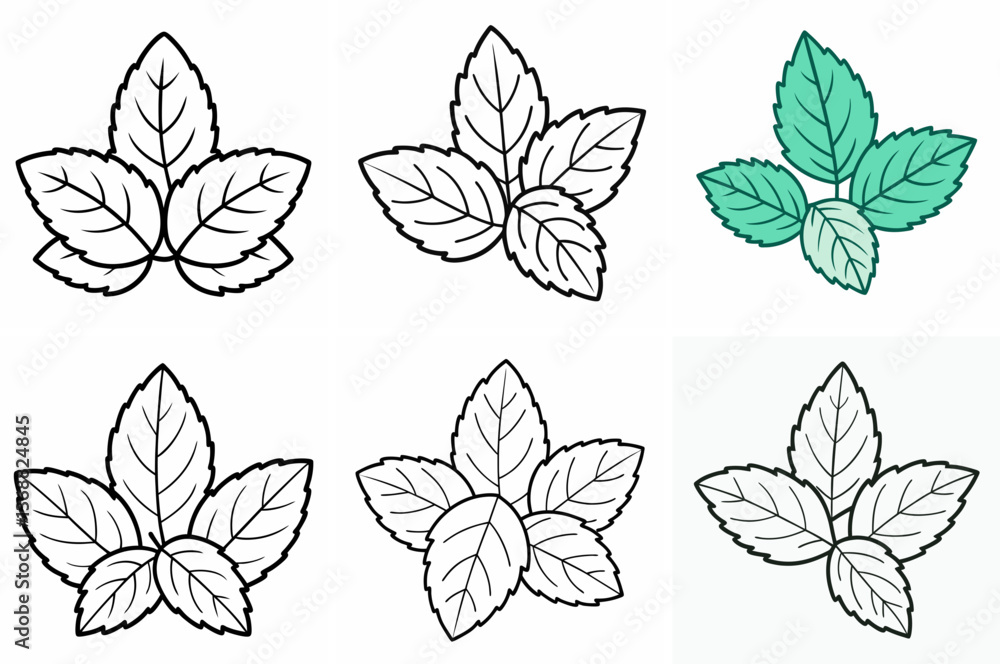 Fototapeta premium Mint Leaves Outline Coloring Book Page Line Art Drawing Set