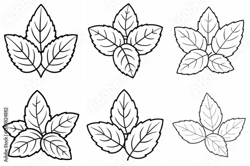  Mint Leaves Outline Coloring Book Page Line Art Drawing Set