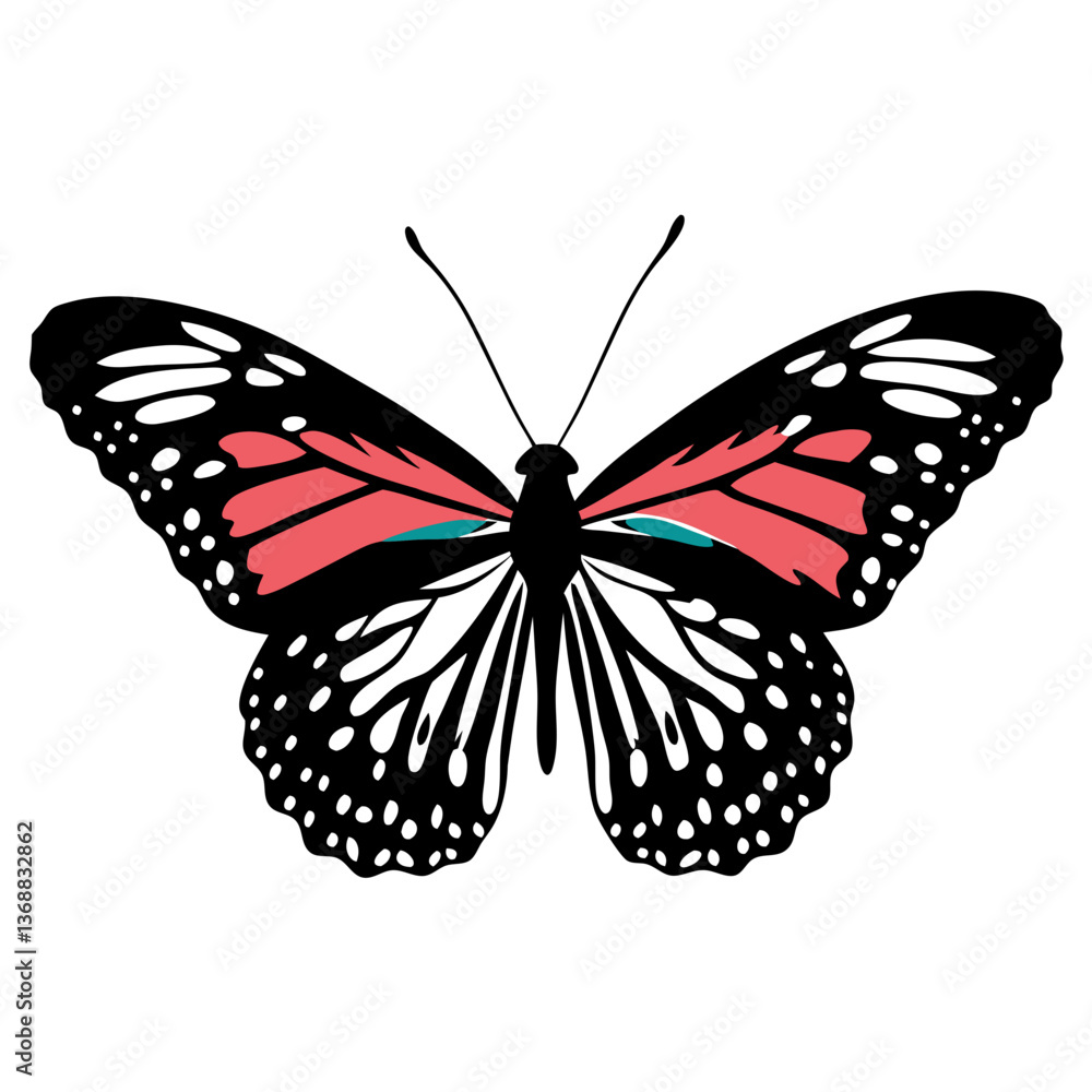 Fototapeta premium Butterfly with colored wings, black and white design