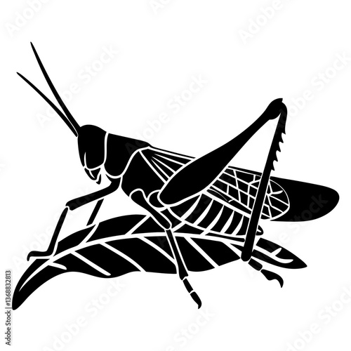 Katydid insect on a leaf, black and white vector