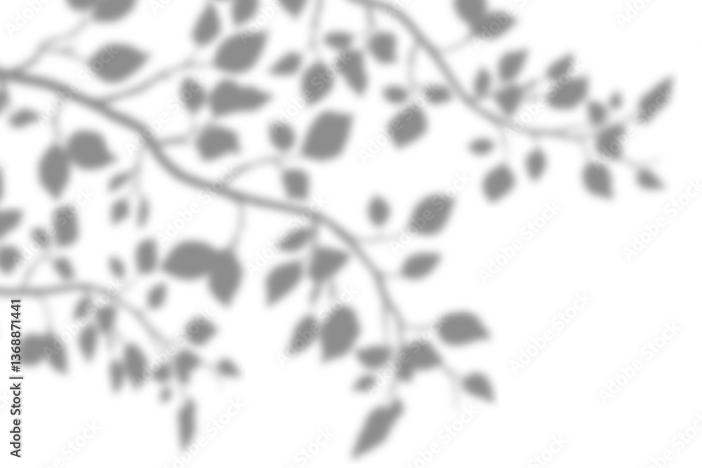 Naklejka premium Soft shadow from tree branches and leaves on white background, blurred silhouette