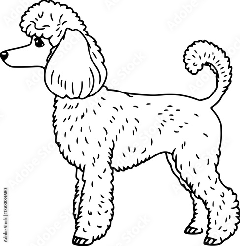 Outline of a curly-haired poodle elegant pet dog illustration vector art