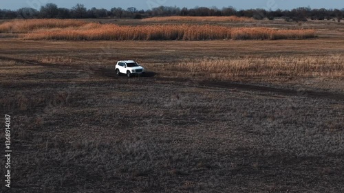 White SUV Conquering Rugged Terrain Through Forest and Steppe Landscapes - Off-Road Adventure & Wilderness Exploration