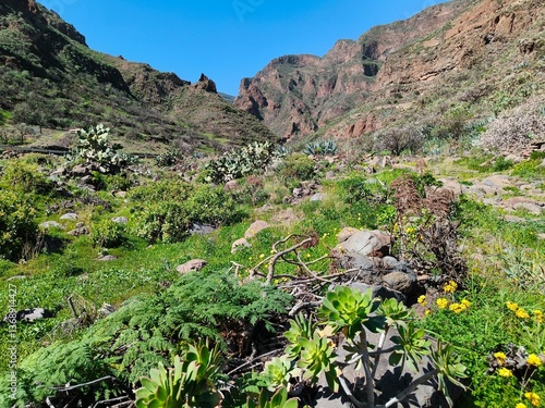 mountain landscape in amazing Guyadeque valley in Gran Canaria 