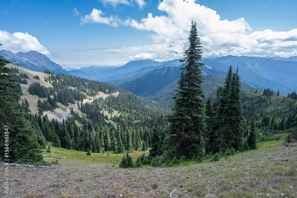 View from the Hurricane Ridge, Olympic National Park, WA