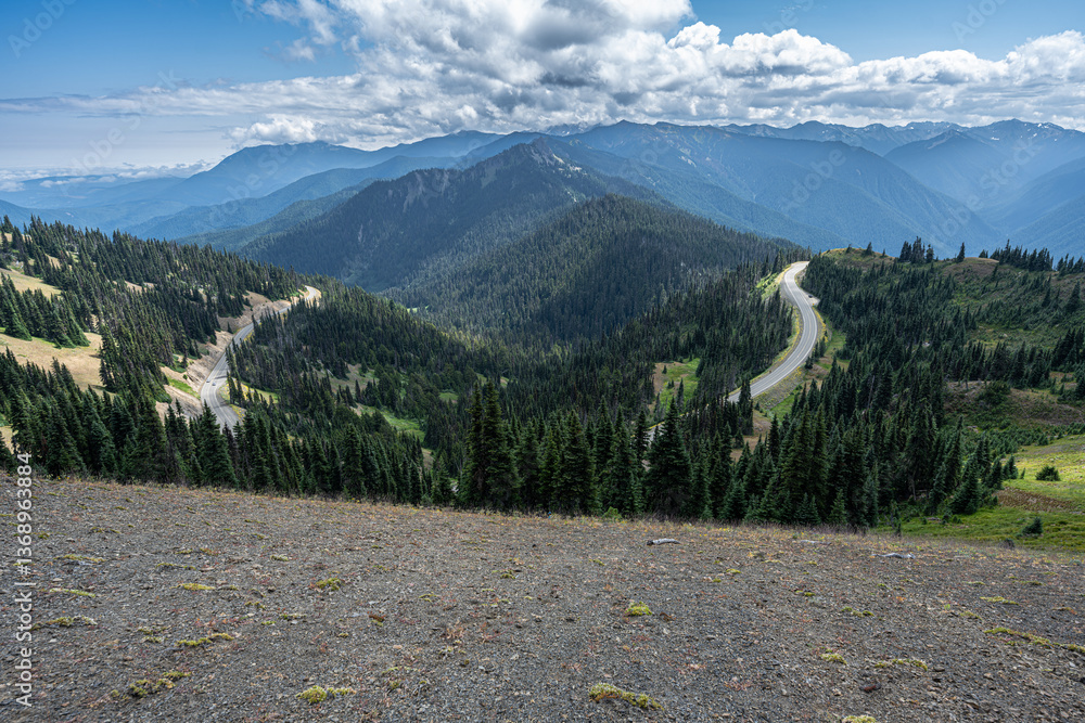 View from the Hurricane Ridge, Olympic National Park, WA