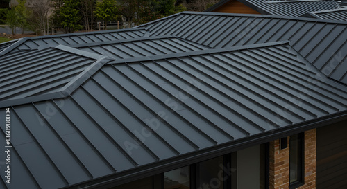 Architectural detail of charcoal gray standing seam roof modern residence