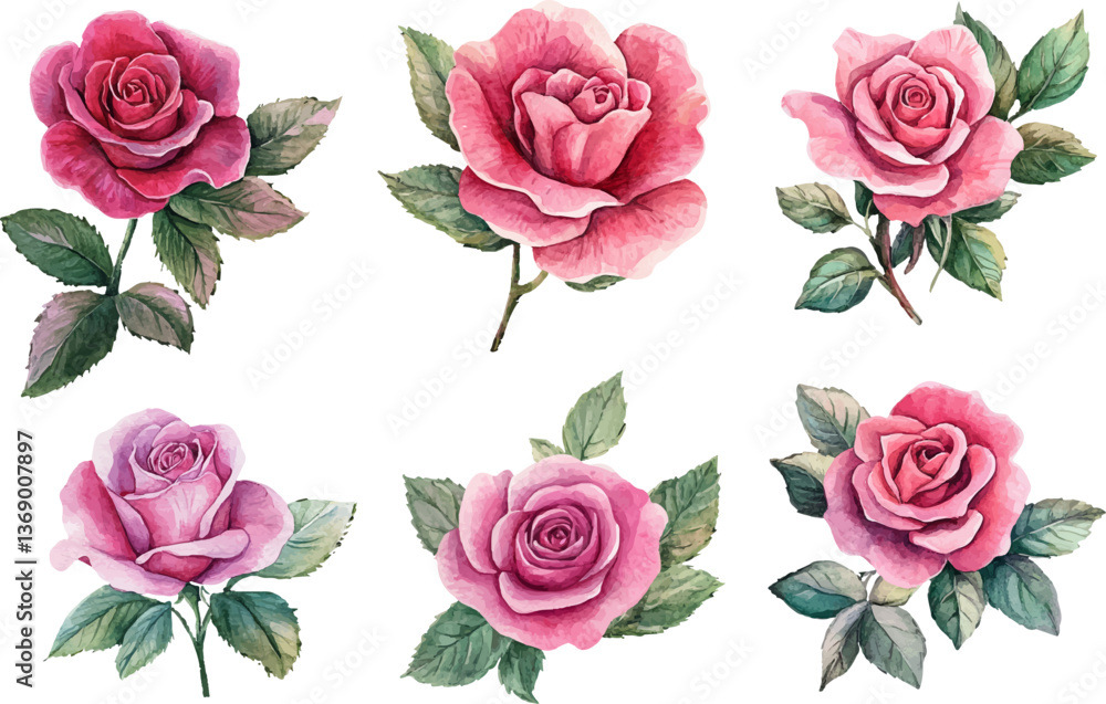 Fototapeta premium Hand-Drawn Watercolor Pink Rose Flower