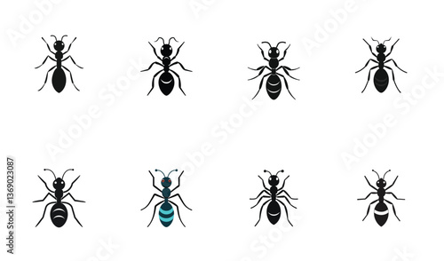 ant silhouette vector set design 