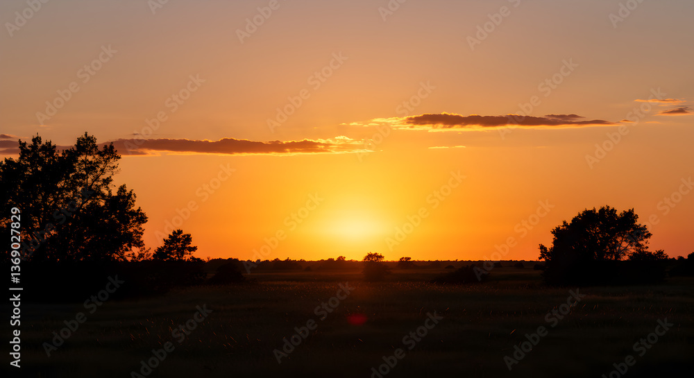 Naklejka premium Vivid golden hour sunset painting a serene landscape with trees silhouette