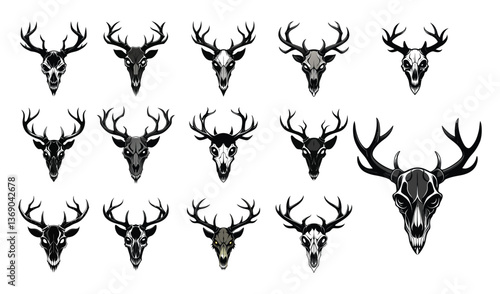 Deer head skull with white background set