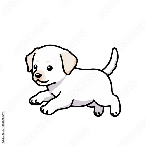 labrador retriever