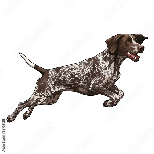 German Shorthair Pointer